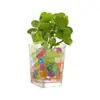 Cuentas Expandibles de Colores Jumbo Absorbentes de Agua para Hidroponía y Plantas Verdes al por Mayor
