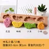 Bolo de Abóbora Fofo Festival Qixi Desenho Animado Forma de Assar Fruta Jardim de Infância Bolo Flor Forma Pequeno Pão no Vapor Forma de Bolo Infantil