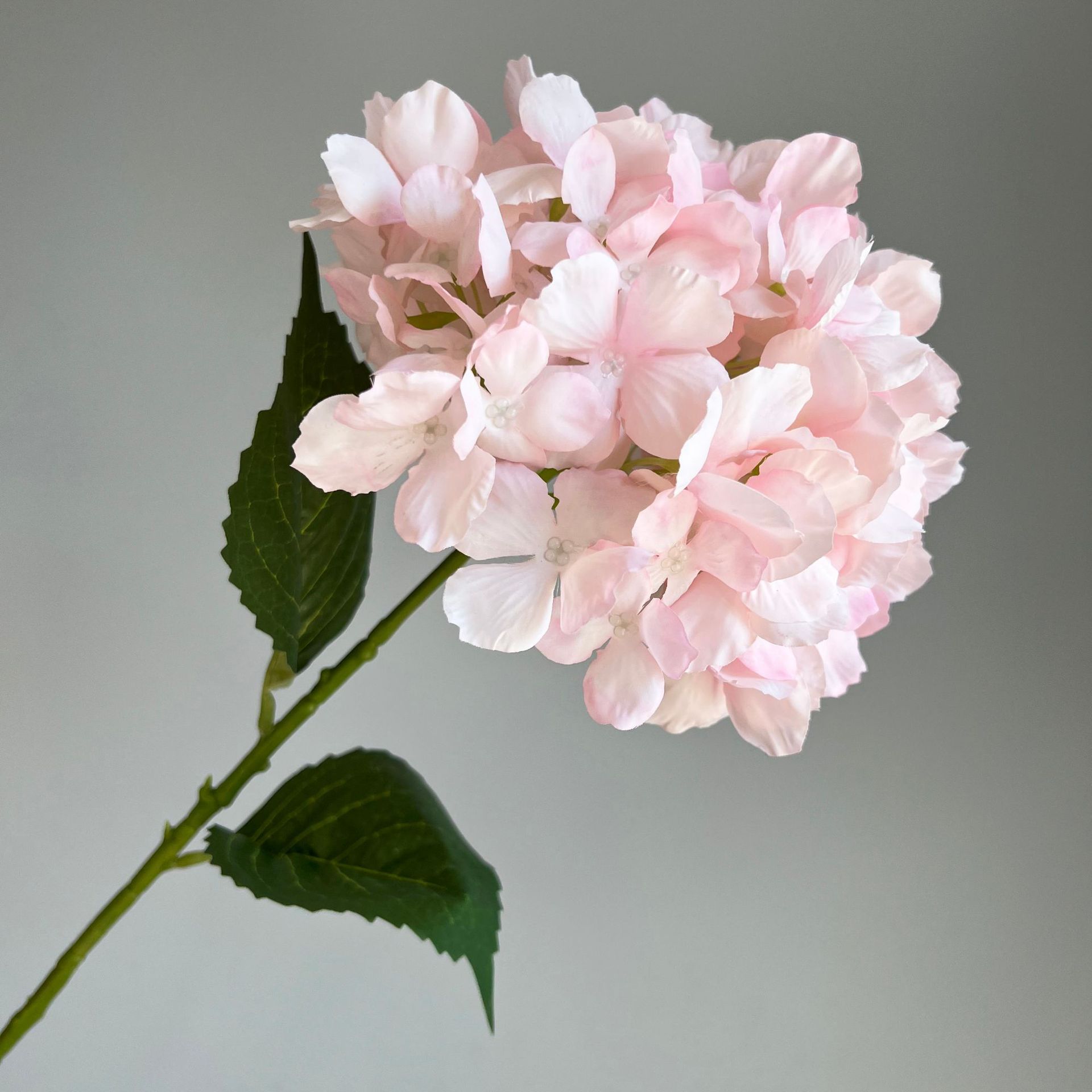 微信图片_20221206101403