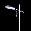 Farolas Exteriores Personalizadas Louis Hengsheng 3/4/5/6/7/ 8m para Carreteras Municipales, Súper Brillantes, Alimentadas por Red Eléctrica, para Proyectos Municipales