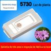 Alto valor PPE/PPF 5730 contas de lâmpada luz branca de espectro total lâmpada para plantas lâmpada de preenchimento para crescimento de vegetais, melões e frutas contas de lâmpada para plantas