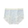 Pantaletas de verano finas de seda de hielo para mujer, extensión antibacteriana en la entrepierna, calzones triangulares dulces transpirables de encaje fresco
