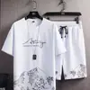 Conjunto de Sudadera Casual para Hombre 2025 Primavera Nuevo Estilo Coreano Moda Tendencia Holgado Pantalones Deportivos de Sudadera y Sudadera Ropa de Hombre