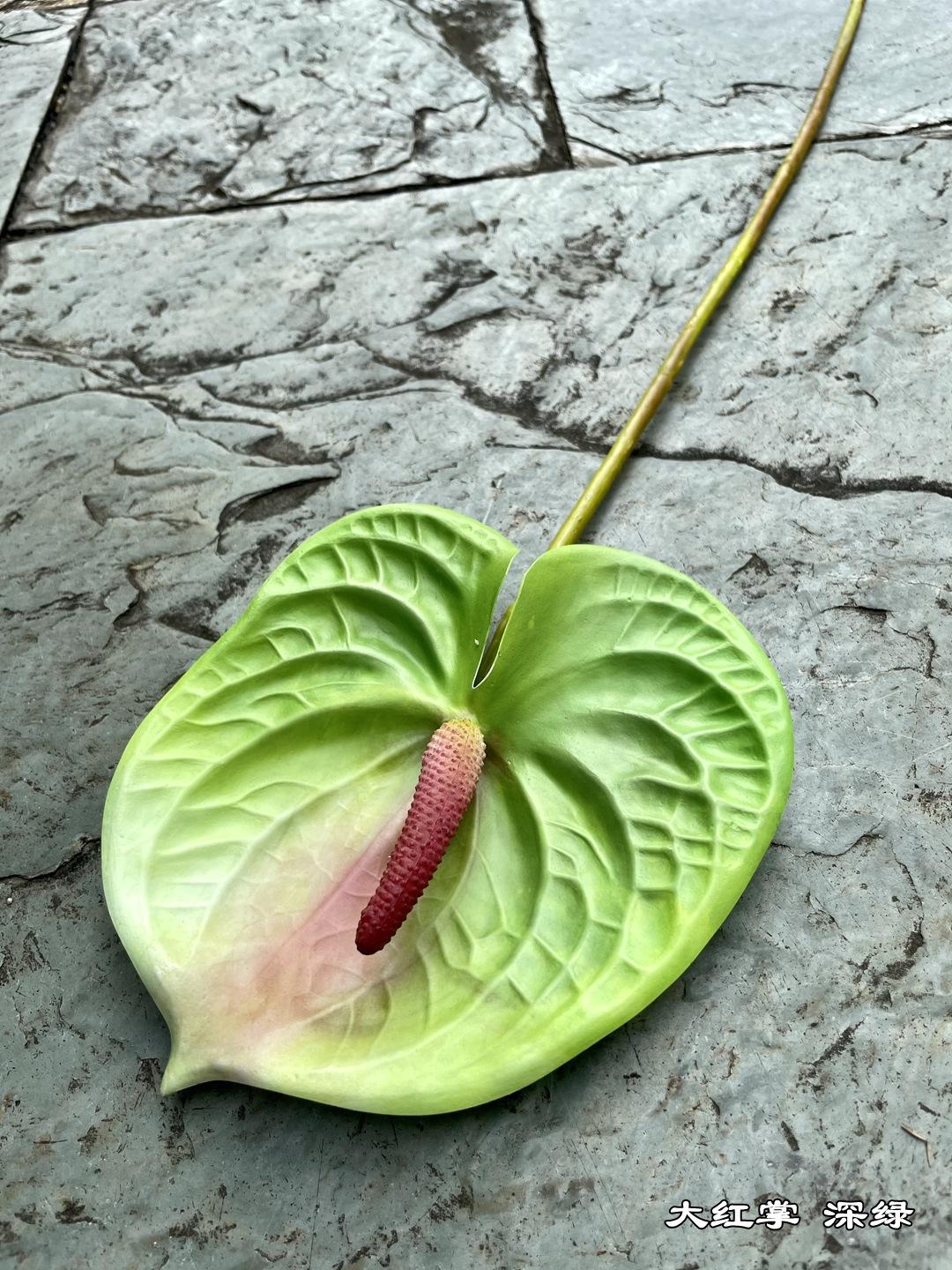 微信图片_20210730114608_副本.jpg
