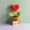 Cartões Positivos Transfronteiriços Encorajam Bonecas Enfeites de Mesa Buquês em Vasos Plantas em Vasos Tricotadas em Lã Prontas