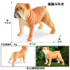 Modelos de Animales Realistas: Doberman, Golden Retriever, Perro de Peluche, Husky, Collie - Adornos para Coche y Juguetes para Niños