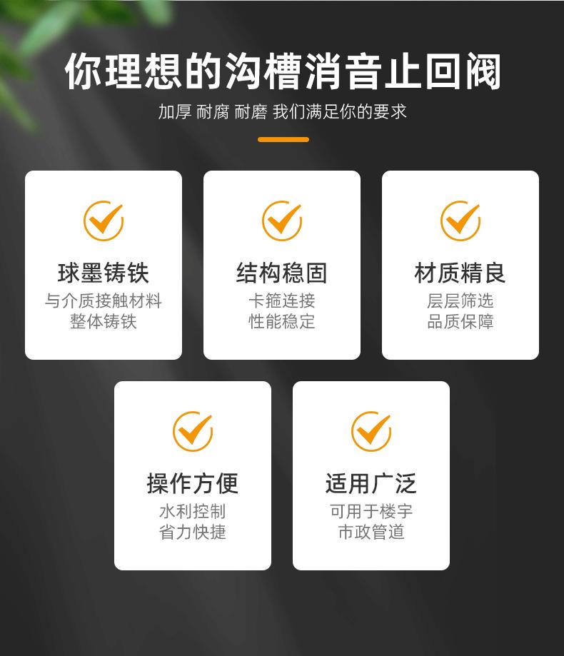沟槽消音止回阀远进 (2).gif