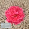 Simulación de flores para decoración de bodas, fondo de flores, arreglo de pared, flores H, cabeza de peonía de 12 capas, cabeza de peonía grande