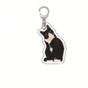 Gato Plátano Gato Feliz Llavero Acrílico Gato Comida Paquete de Expresiones de Cabeza de Gato Llavero Divertido