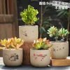 Vasos de Cerâmica Bruta Sem Esmalte para Flores Frescas com Características Zen Criativas, Novo Conjunto Respirável para Plantas Suculentas, Frete Grátis