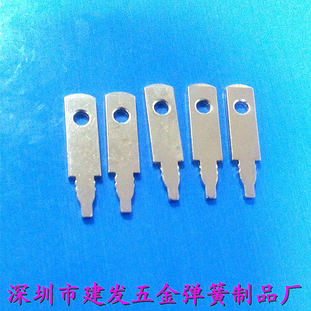 照片 207_副本