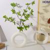 Jarrón de plástico simple con forma circular, estilo Ins, para sala de estar, mesa de comedor, botella decorativa, adornos de flores secas.