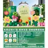 Decoraciones de Moda para Exteriores con Temática de Primavera para Team Building, Montaje de Ambiente, Salidas de Primavera, Campamentos de Verano, Tablero Kt y Fondo de Centro Comercial