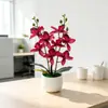 Bifurcación Doble 8 Racimos Flor de Orquídea Phalaenopsis Artificial Bonsái Decoración de Escritorio para el Hogar Flor Falsa de Plástico Maceta Atmósfera Adorno de Planta Verde