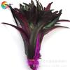 Fábrica Wen Ce al por mayor 35-40 cm dos colores color brillante gallo cola púrpura uso en escenario cola púrpura negra 100 raíz