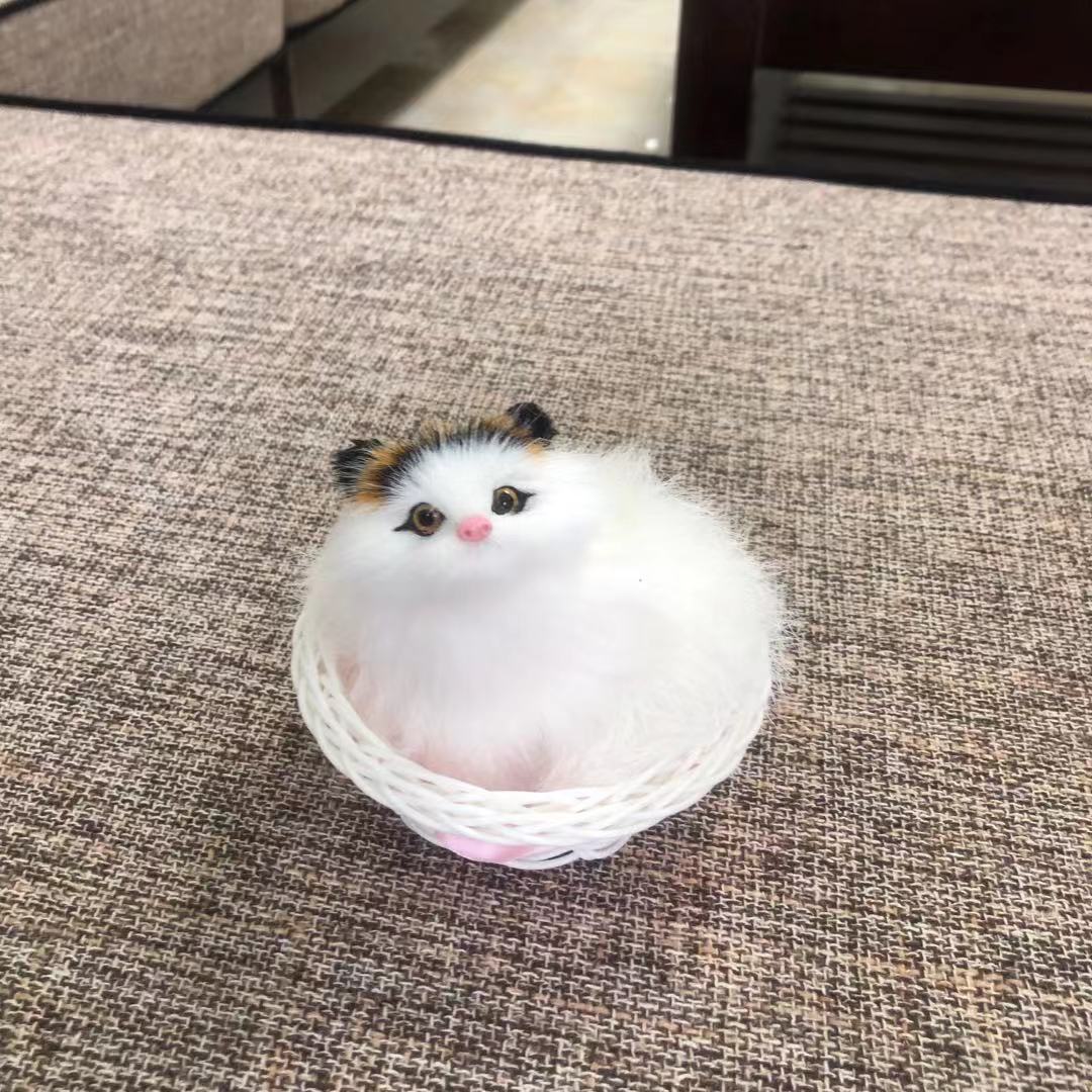 小圆框兔子和猫，和叫猫