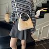 Bolso de Diseño de Nicho de Alto Nivel con Bloques de Color para Mujer, Nuevo Bolso Dumpling 2026, Bolso de Mano Versátil para el Trabajo, Cruzado, Bolso de Hombro