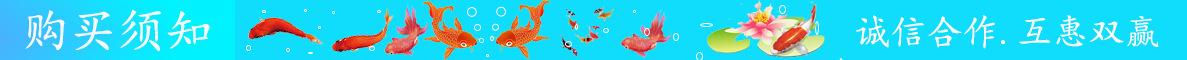 购买须知