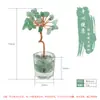 Mini árvore da sorte em cristal natural com base de vidro, apresentando três galhos, feita com fragmentos de cristal natural, adequada para decoração de casa ou escritório