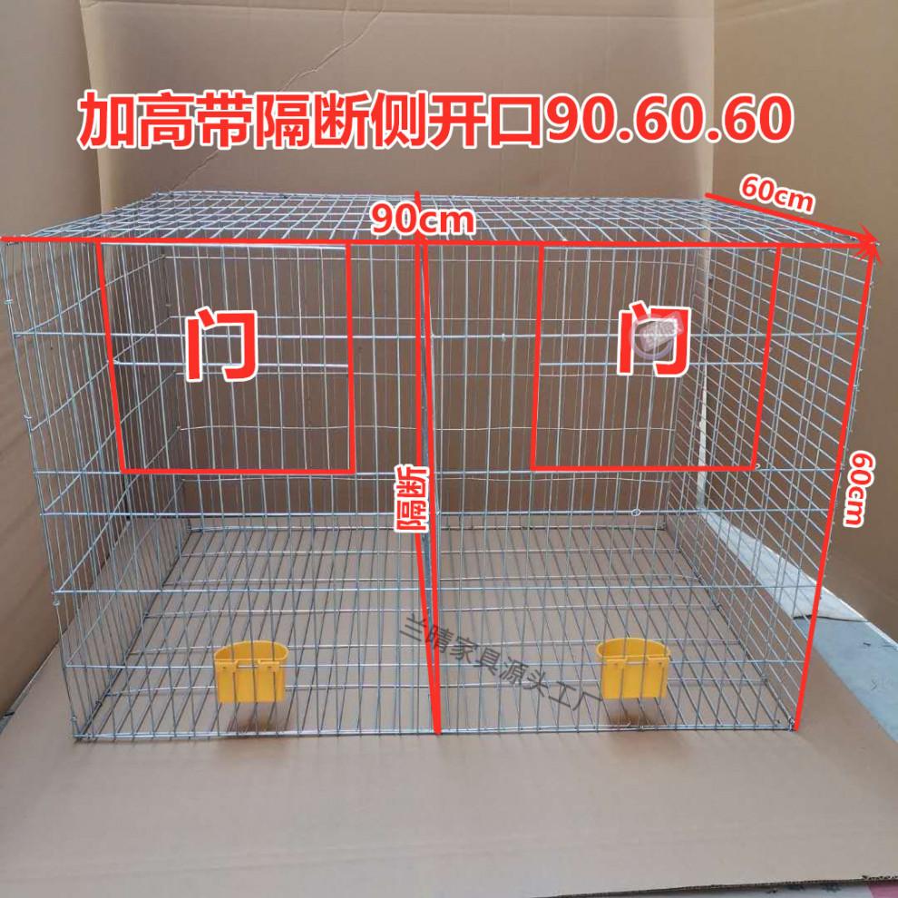 26ecddc9-502a-452c-9fdd-d243d1d0700f.jpg