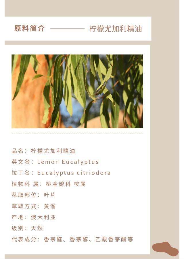 柠檬尤加利精油.jpg