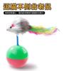 Venta al por mayor nuevo vaso para gatos juguete de ratón pluma de color flocado ratón vaso juguete