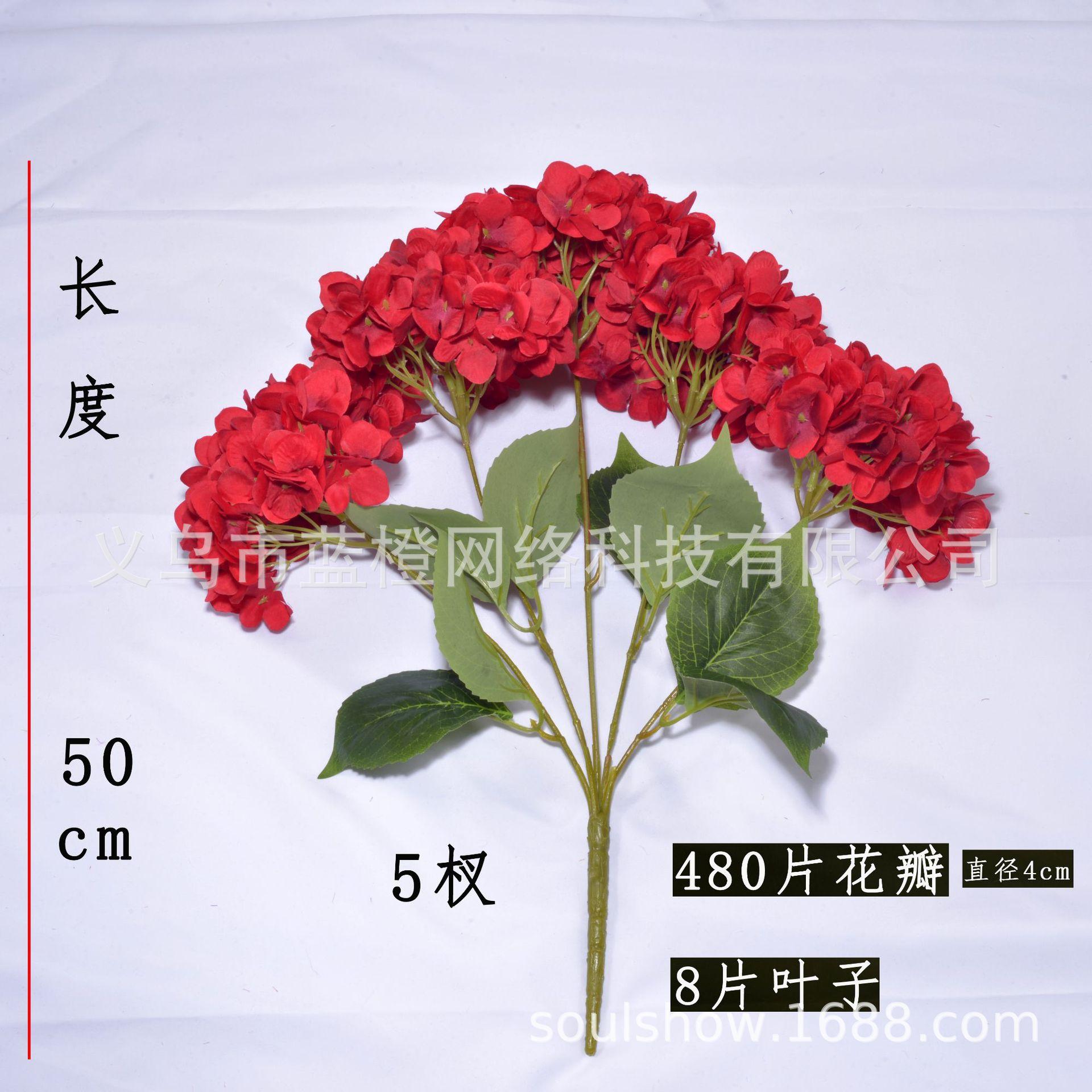 尺寸.JPG