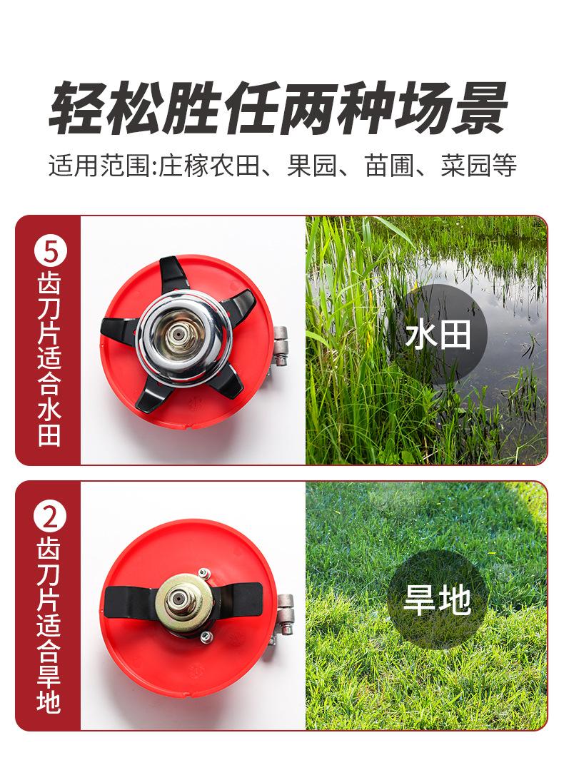 QQ图片20240515135754.jpg