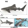 Modelos Realistas de Animales Marinos Transfronterizos: Tiburón Azul, Megalodón, Tiburón Ballena Gris, Tiburón Blanco, Tiburones Martillo Juguetes