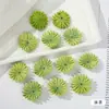 Diadema creativa de pétalos de crisantemo comprimidos para manualidades, material de decoración de boda, flor artificial, flor falsa, pasador para ropa, accesorios de flor