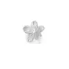 Dazan Em Estoque Titânio Banho de Ouro a Vácuo 18K Ins Brinco de Moda Conjunto Estilo Casual Oceano de Verão Ear Cuff