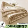 2026 Nuevo Estilo Hilo Esponjoso Colcha para Aire Acondicionado Rellena de Algodón de Xinjiang, Colcha de Verano para Camas Individuales y Dobles, Colcha Fina de Verano para Uso Doméstico