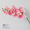 2026 Año del Caballo Cubo de la Suerte Cubo de Flores de Año Nuevo Caja Octagonal Estampada en Oro Caja para Arreglo Floral de Flor de Acebo Mariposa Orquídea Regalo