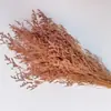 Hierba de Amor Blanqueada Flor Inmortal Hierba de Amor Blanqueada Ramo Seco Material Base Yunnan Venta Directa Ramo Pequeño Amazon