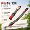 Conjunto de duas peças em estoque de fábrica de coleira e guia para cães em blocos de cor, nylon resistente ao desgaste com fivela de metal, conjunto para passeios de cães atacado