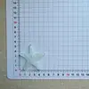 Acessórios de Estrela do Mar Transparente Brilhante Super Grandes DIY Grampos de Cabelo Feitos à Mão Capa de Celular Tamancos Bolsa para Sapatos Caixa de Armazenamento Materiais Atacado