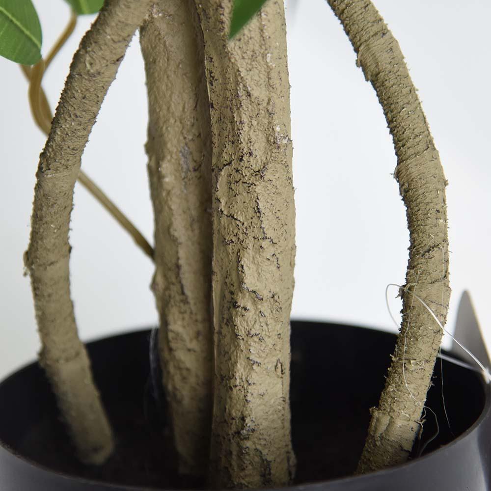 细节 (1)