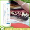Cepillo de limpieza dental para mascotas Yegbong, limpieza bucal para eliminar el sarro, cuidado limpio y fresco