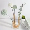 Tubo de Ensaio Vaso de Vidro Recipiente de Pequeno Diâmetro Arte Sala de Estar Ornamento Vintage Arranjo de Flores Vaso de Flores de Alta Qualidade Luxo Leve Retrô