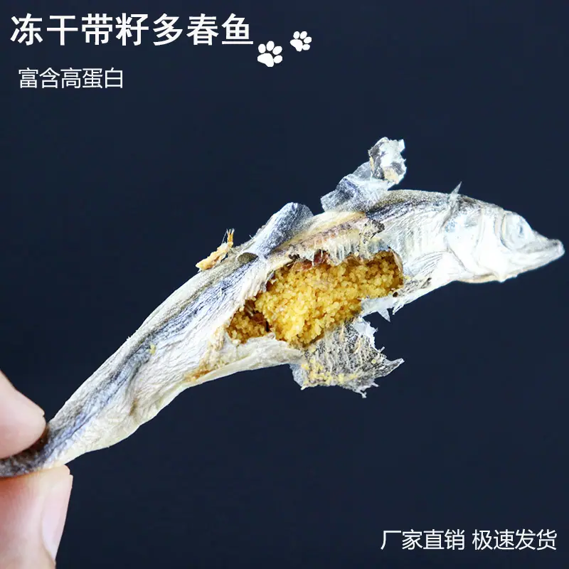 带籽多春鱼