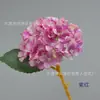 Pintura a óleo hortênsia ramo único tamanho pequeno 63 pétalas simulação hortênsia europeia flor artificial flor de casamento parede de flores arranjo de flores de estrada
