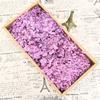 Flor Mágica Flor Inmortal Grado A Hortensia Anna 100g Cumpleaños Material de Flor Real Adornos de Flor Seca Caja de Regalo DIY