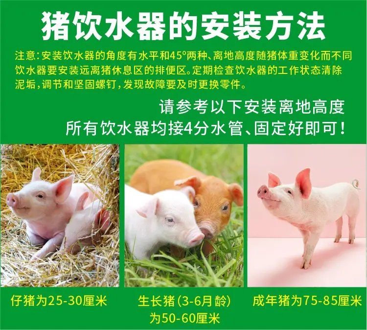 详情20.jpg
