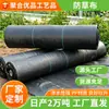 Manta de Gramado Preta para Jardinagem Estufa Pomar Supressão de Ervas Daninhas Tecido de Solo Material PP Alta Resistência à Tração Permeável Tecido de Controle de Ervas Daninhas Suprimento Suficiente