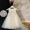 Nuevo Estilo de Verano de Blue Town, Vestido de Cumpleaños de Moda para Niños, Vestido de Verano para Bebé Niña con Lazo, Impresionante Vestido de Princesa