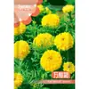 Semillas de Caléndula, Crisantemo, Hibisco Maloliente, Semillas de Hibisco Maloliente de Color Mixto Fáciles de Cultivar para Todas las Estaciones, Semillas de Maceta Repelentes de Mosquitos, Semillas de Flores