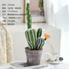 Bonsai de combinação de cactos, flores artificiais, plantas tropicais, plantas em vaso, decorações de interior, cactos suculentos de alta qualidade para vendas transfronteiriças