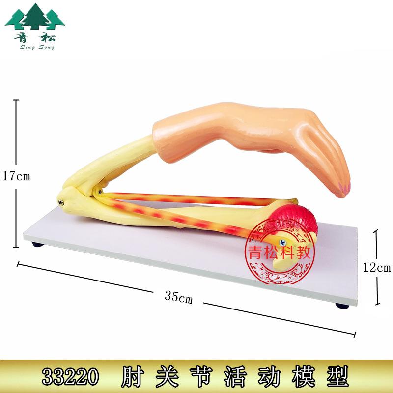 肘关节模型_副本