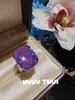Palácio das Joias Broche de Libélula Rosa Vermelho Retrô com Pedra Preciosa Anel de Diamante Brilhante de 7 Quilates para Banquete Couture Roxo Íris