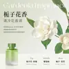 Aromaterapia para Carro, Perfume para Carro para Homens e Mulheres, Decoração de Luxo, Fragrância Leve de Longa Duração, Especial para o Carro, Fragrância Leve de Longa Duração